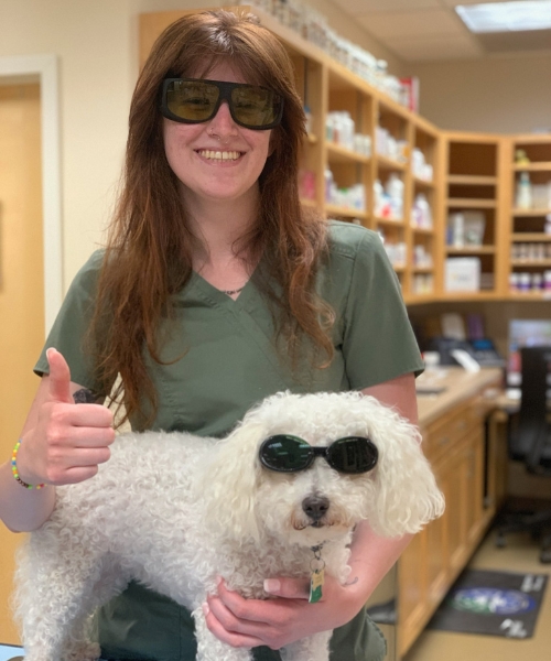 A person holding a dog wearing sunglasses