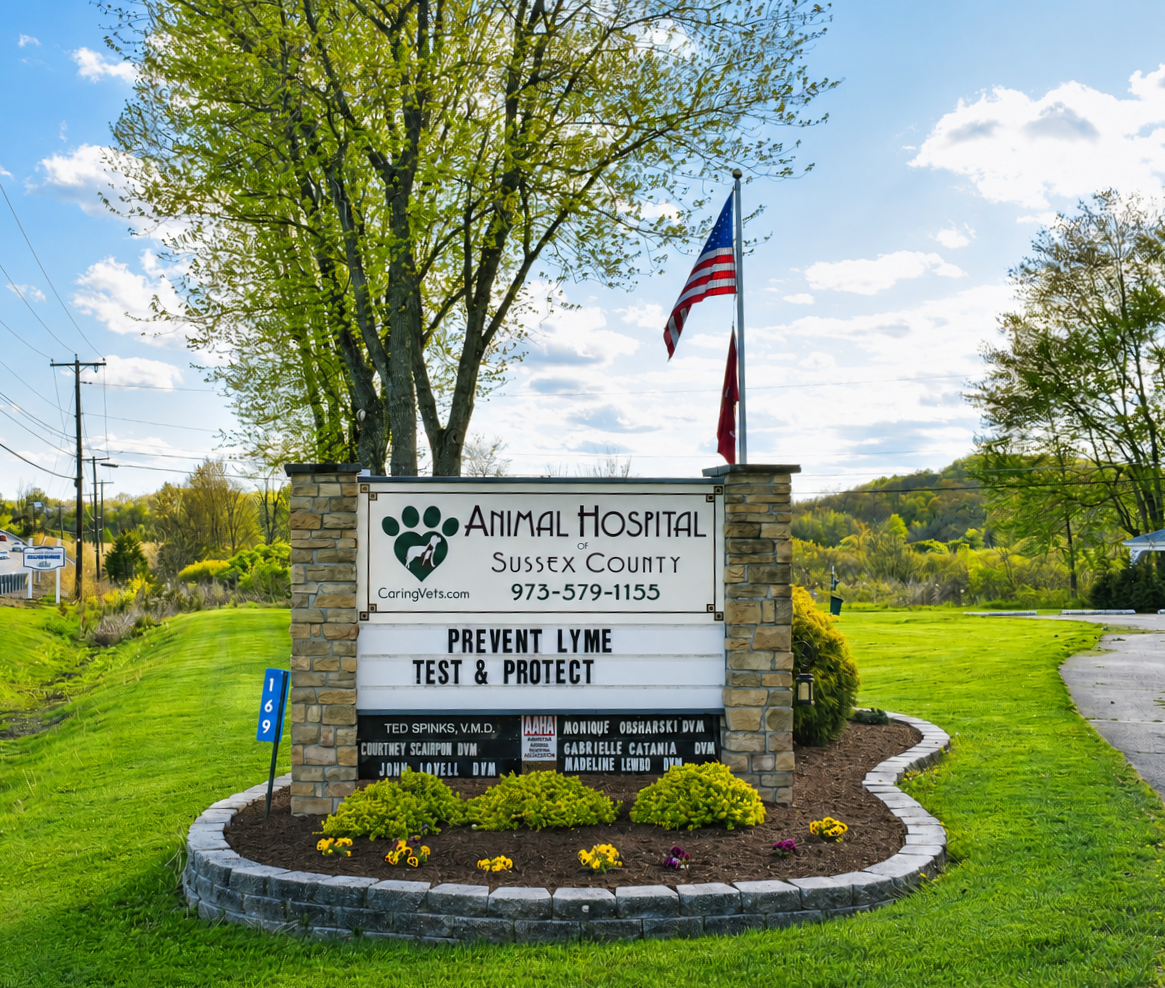 8a561efb-20e7-4752-a5a3-b78038ce2966 Sign outside Animal Hospital of Sussex